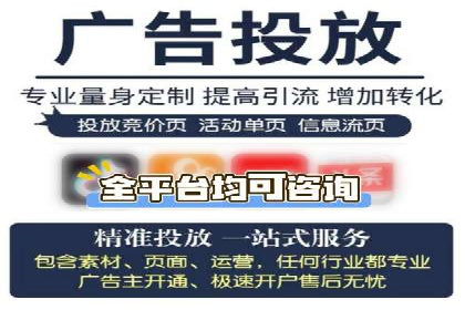 SEM广告投放的预算分配与效果评估——以某企业为例