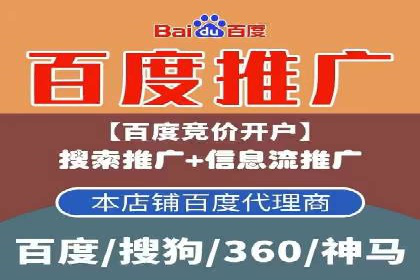 竞价广告在XX行业的成功应用案例